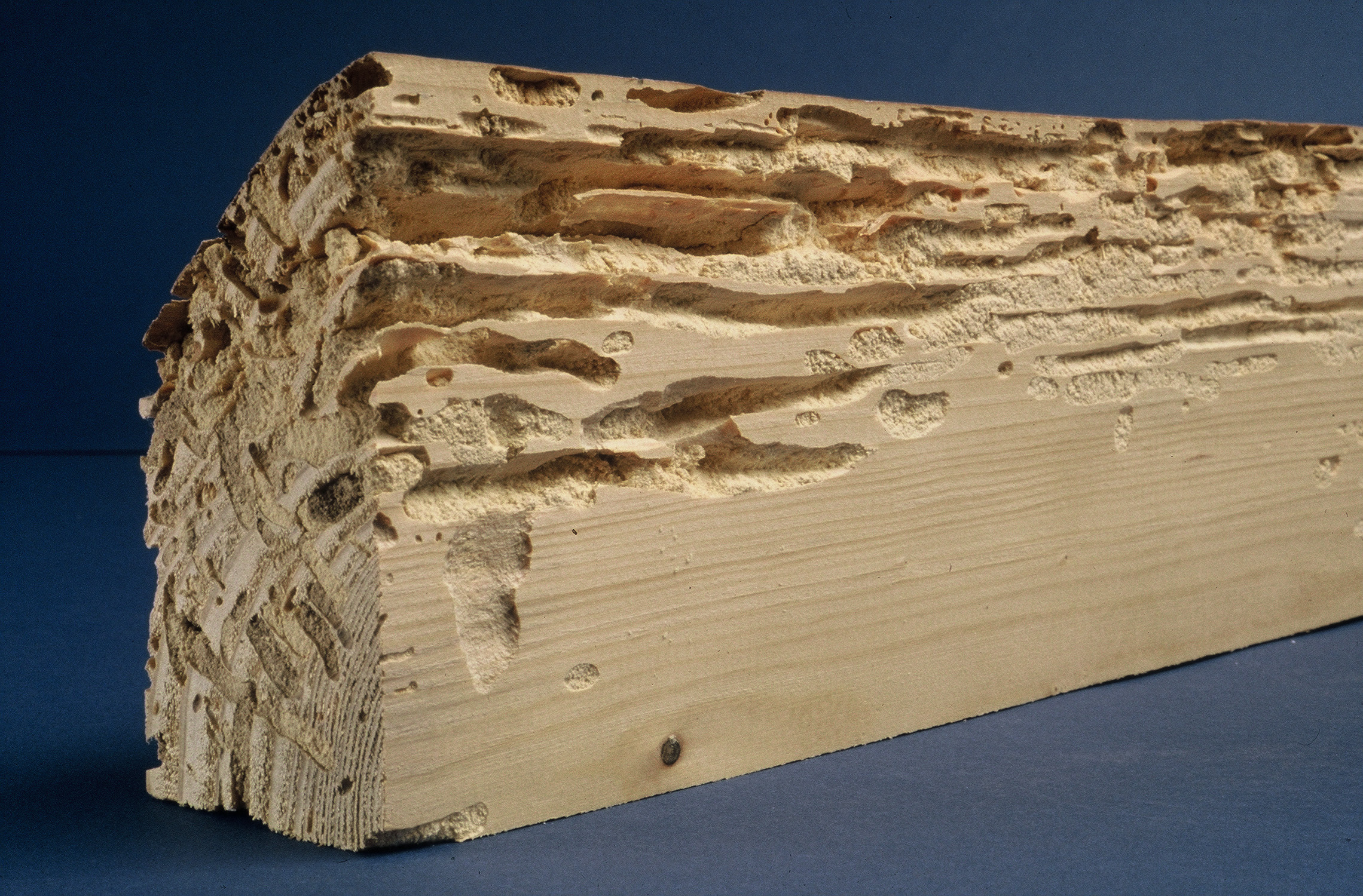 Traitement de charpente, bois à Cahors
